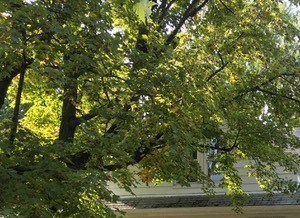 100 Best Apartments in South Euclid, OH (with reviews) | RENTCafé